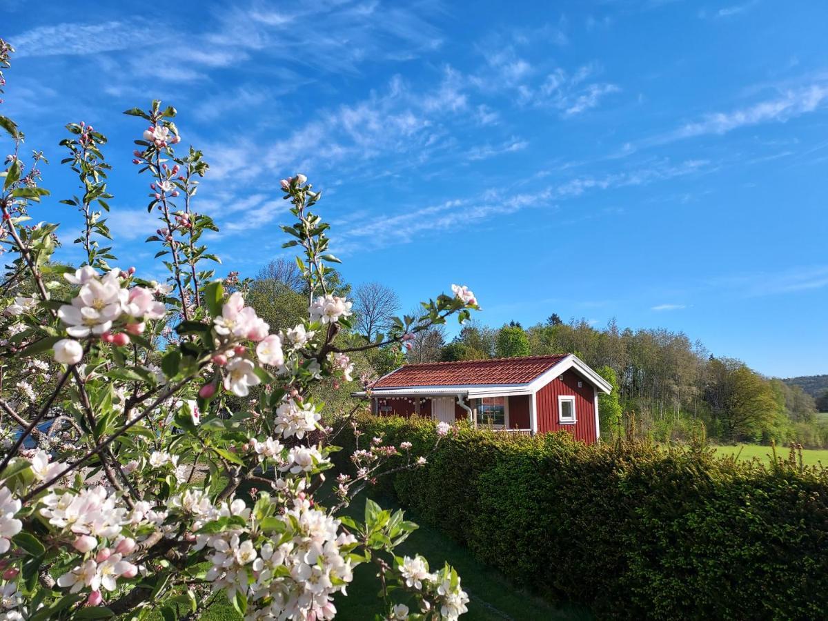 Aelgbergets Bed & Breakfast Ucklum Kültér fotó