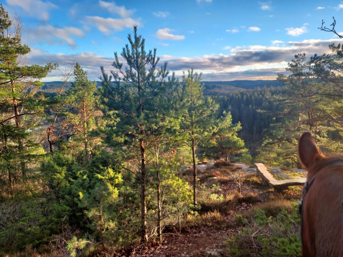 Aelgbergets Bed & Breakfast Ucklum Kültér fotó