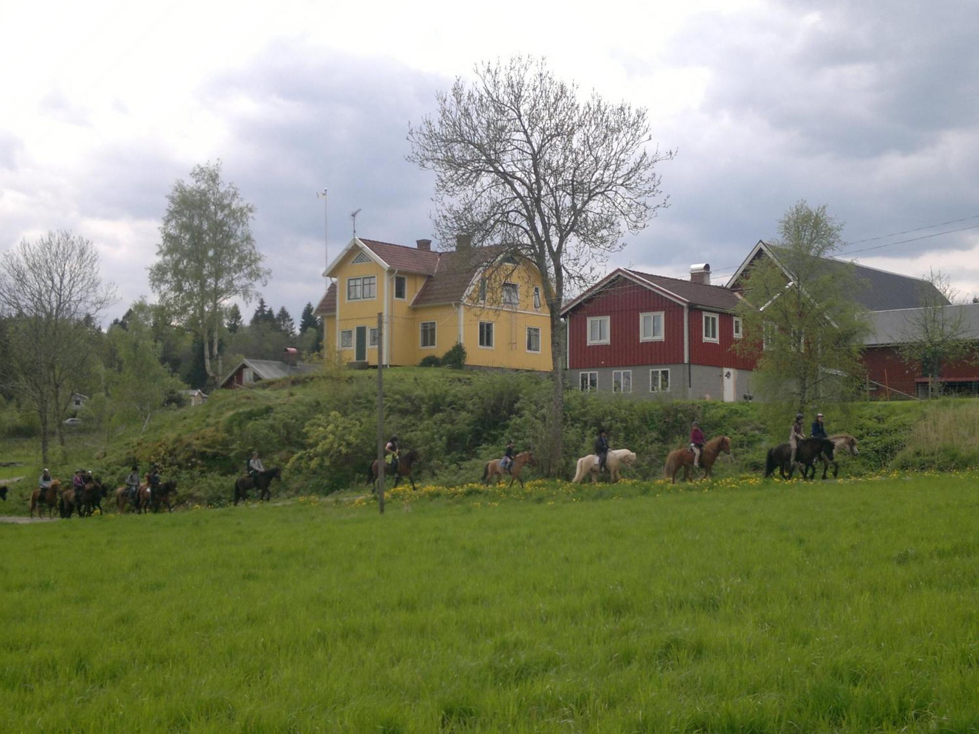 Aelgbergets Bed & Breakfast Ucklum Kültér fotó